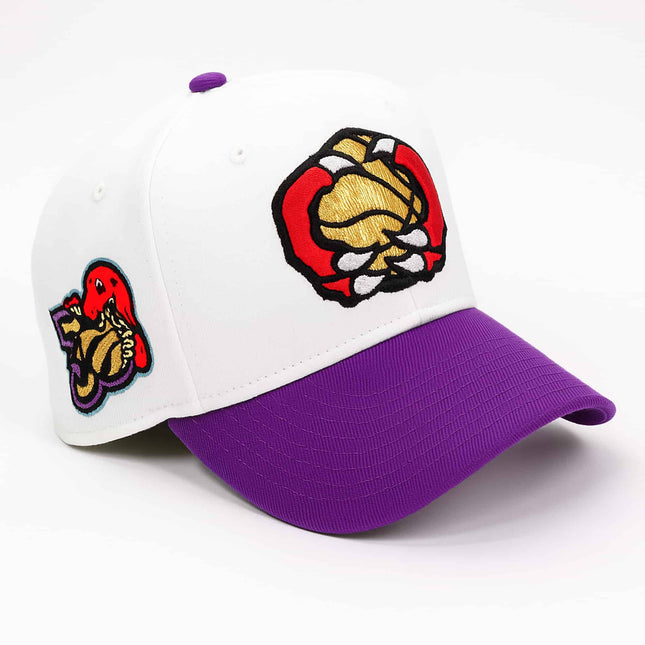  Toronto Raptors Retro 30th Anniversary Hat