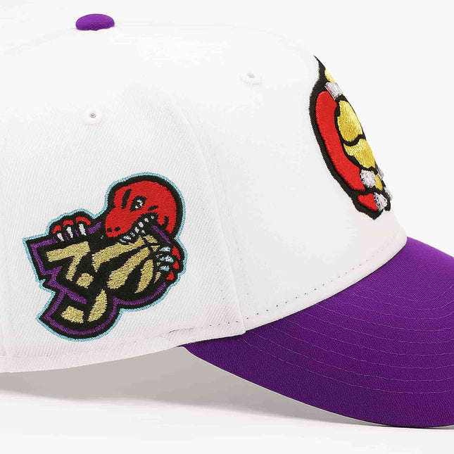  Toronto Raptors Retro 30th Anniversary Hat1